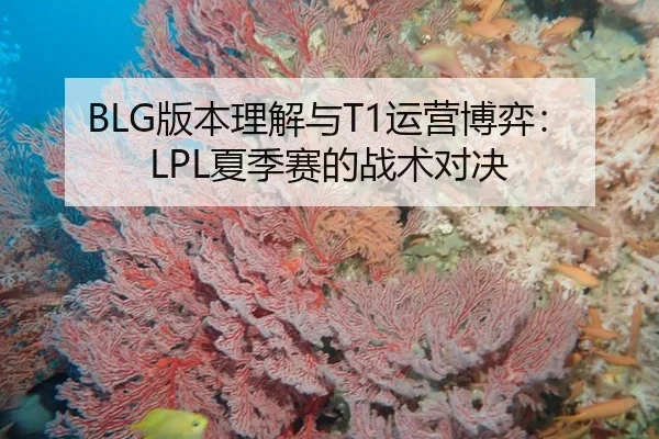 BLG版本理解与T1运营博弈：LPL夏季赛的战术对决