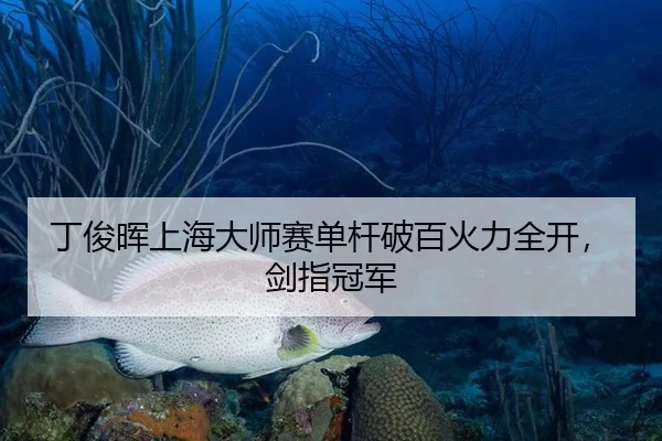 丁俊晖上海大师赛单杆破百火力全开，剑指冠军