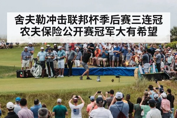 舍夫勒冲击联邦杯季后赛三连冠农夫保险公开赛冠军大有希望