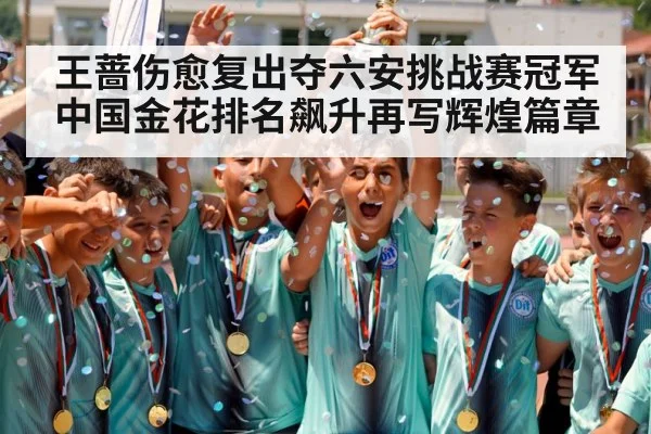 王蔷伤愈复出夺六安挑战赛冠军中国金花排名飙升再写辉煌篇章